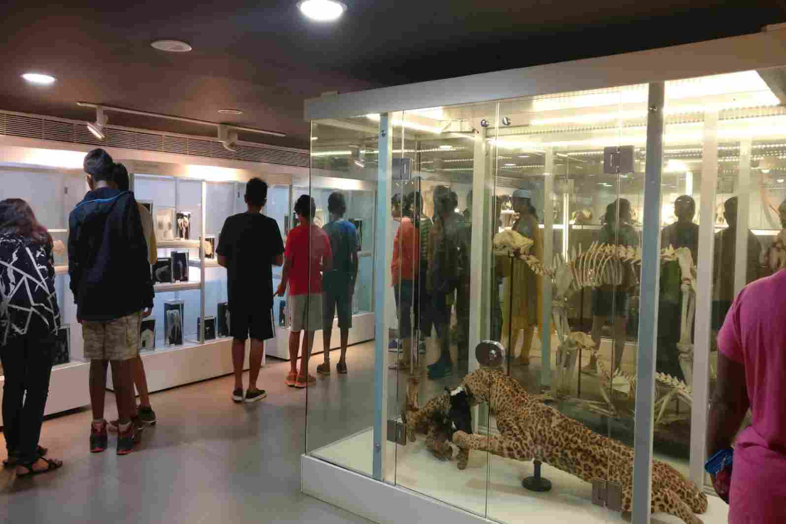manipal museum in karnataka